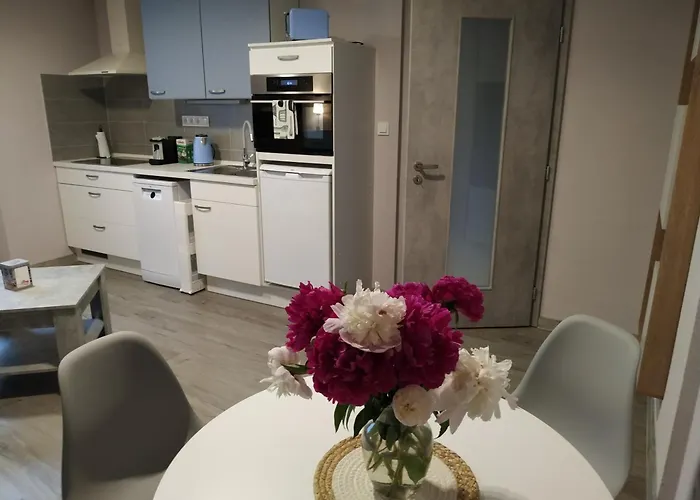 Vega Motel 3*