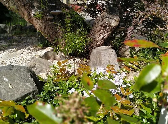 Vega Мотель Sezimovo Usti